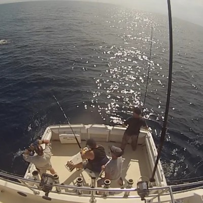 striped-marlin-jump-3