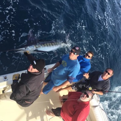 striped-marlin-5