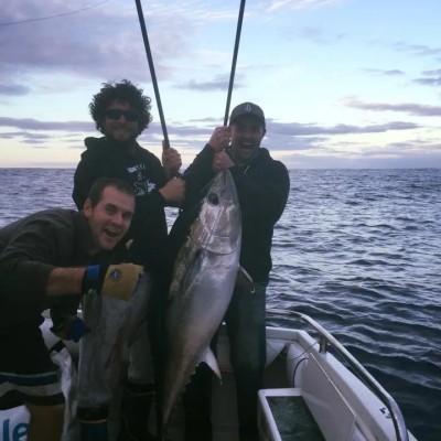 southern-bluefin-tuna