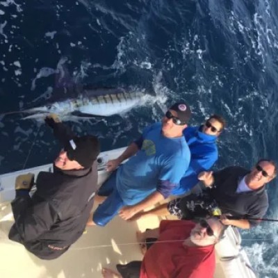marlin-fishing-merimbula