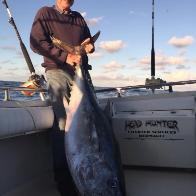 southern-bluefin-tuna-6