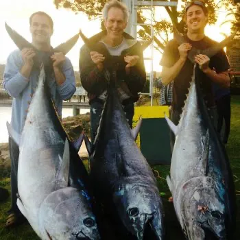 Bluefin Tuna Fishing Charters Pibfyh0xd7fvr071qdasrgmlkbeg6rf9chnjmv1jqk
