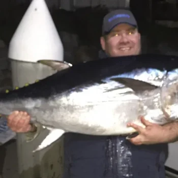 southen-bluefin-tuna-10