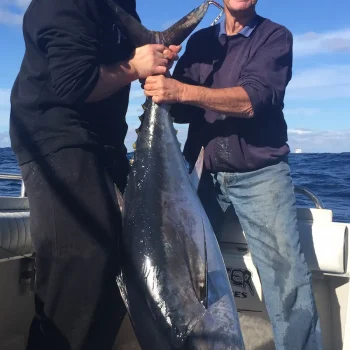 southern-bluefin-tuna-3