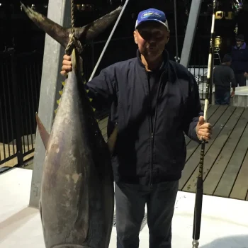 southern-bluefin-tuna-7