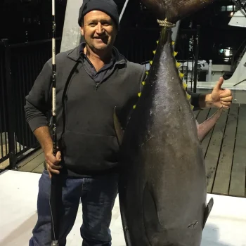 southern-bluefin-tuna-8