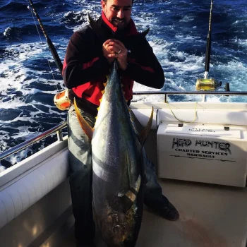 yellowfin-tuna-2